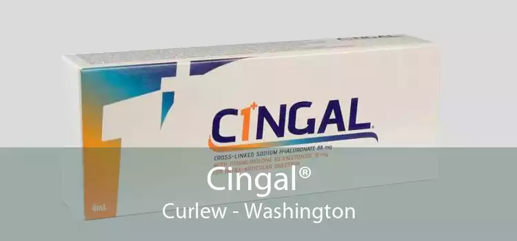 Cingal® Curlew - Washington