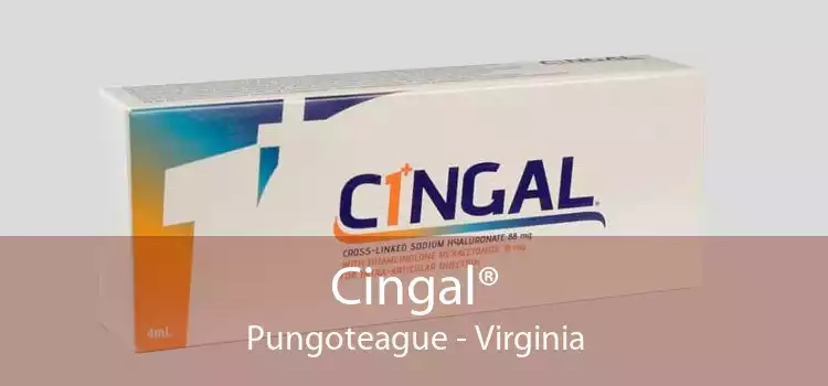 Cingal® Pungoteague - Virginia