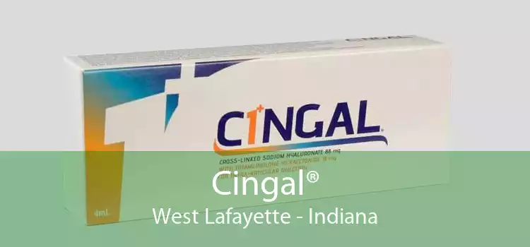 Cingal® West Lafayette - Indiana